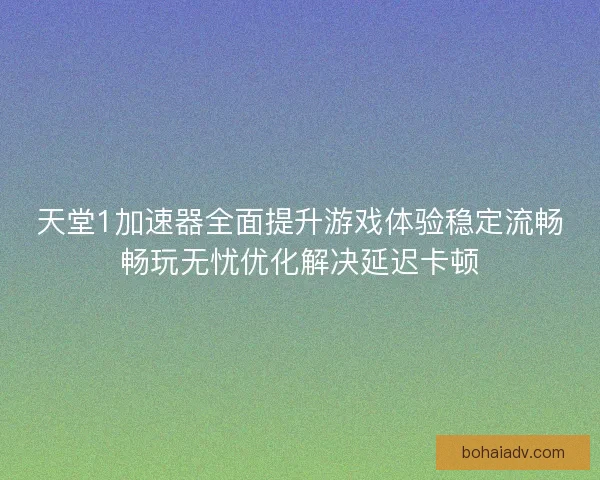 天堂1加速器全面提升游戏体验稳定流畅畅玩无忧优化解决延迟卡顿